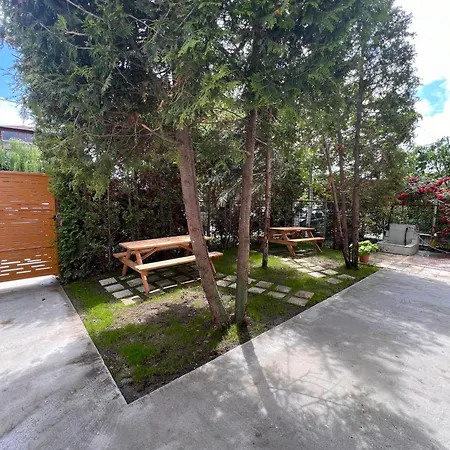 Serenity And * Eforie Nord